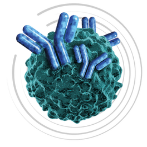 76093 - 9th Treg-Directed Therapies Summit 2027
