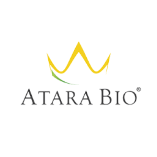 Atara Biotherapeutics - 3rd Cell Therapy for Autoimmune Disease Summit