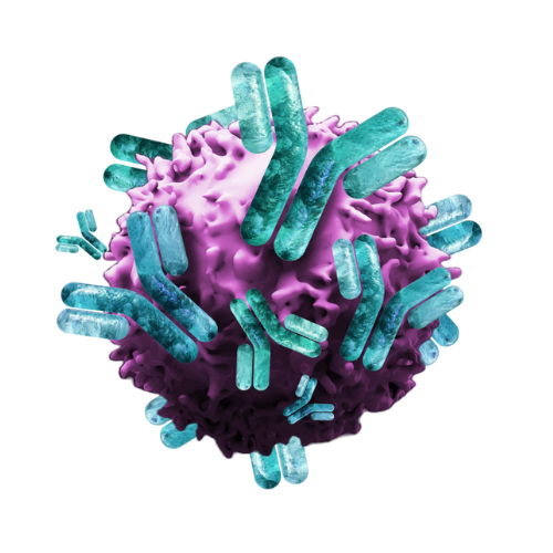 favicon- 3rd Cell Therapy for Autoimmune Disease Summit